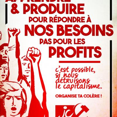 Apprendre et produire pour nos besoins, pas pour les profits !